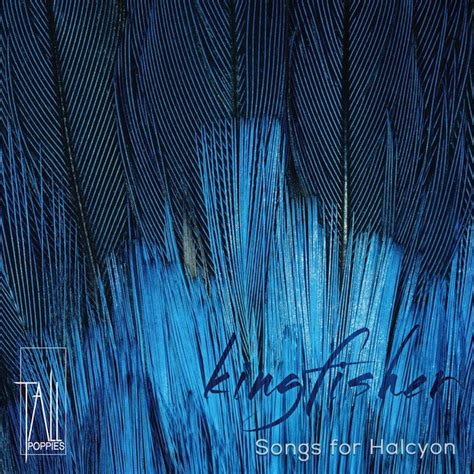 Halcyon + On - Nurturing Echoes of Ambient Techno Woven Through Ethereal Melodies